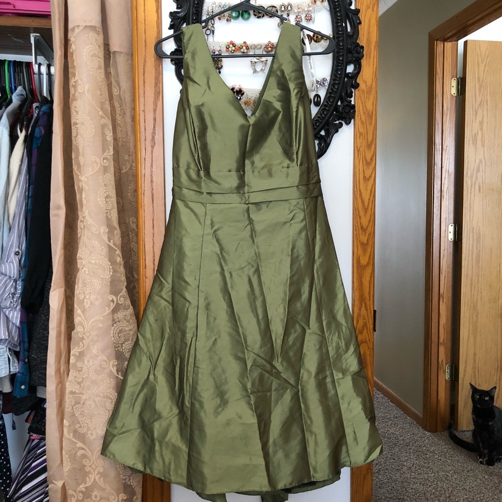 David’s Bridal Green Dress